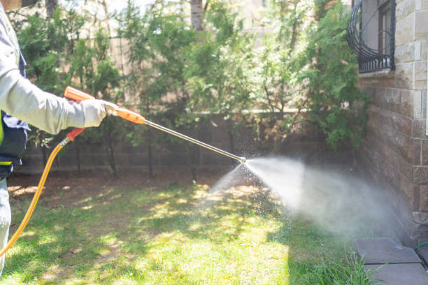 Best Wasp Removal Services  in High Bridge, NJ